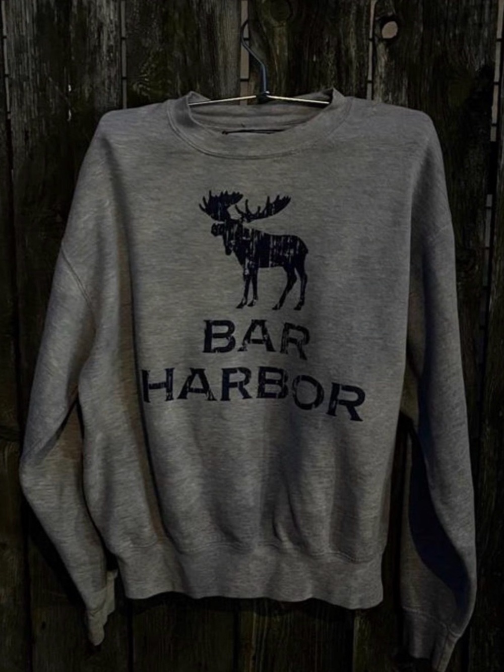 Moose Graphic Sweatshirt in Gray Like New
